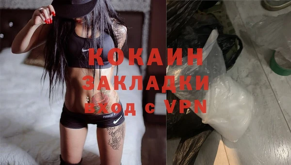 дмт Абаза