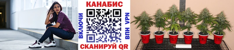 кракен   Агидель  Бошки Шишки THC 21% 
